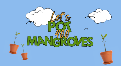 lets pot 400 mangroves